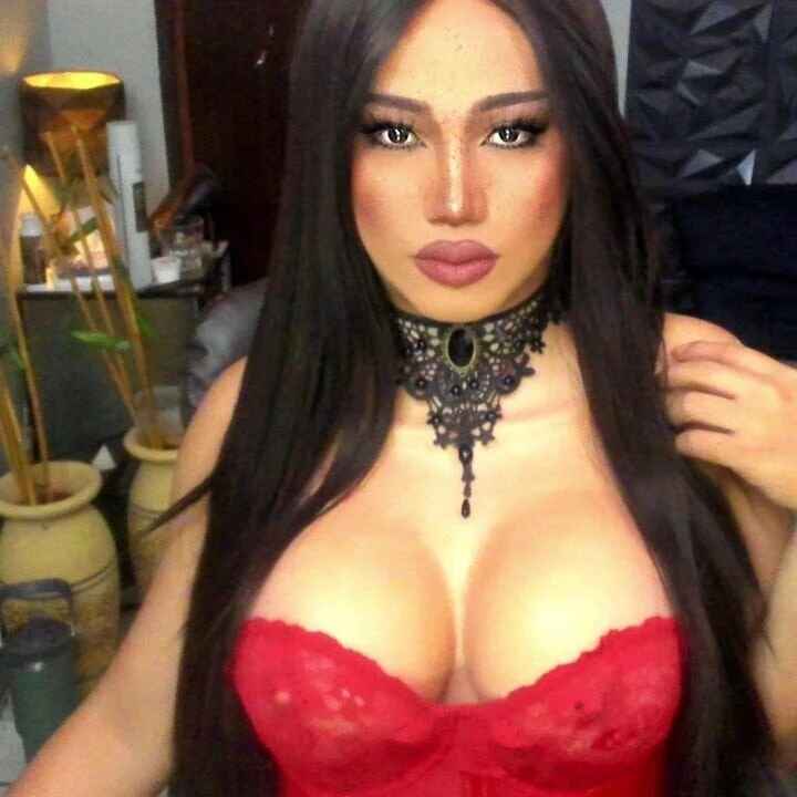 fancySHAINExxx