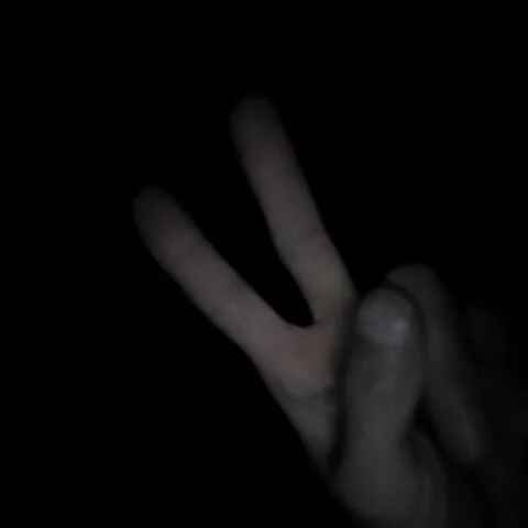 Loiro_20cm
