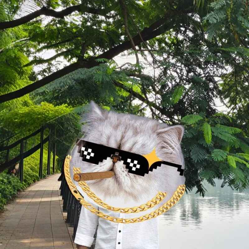 rajaaaaa11