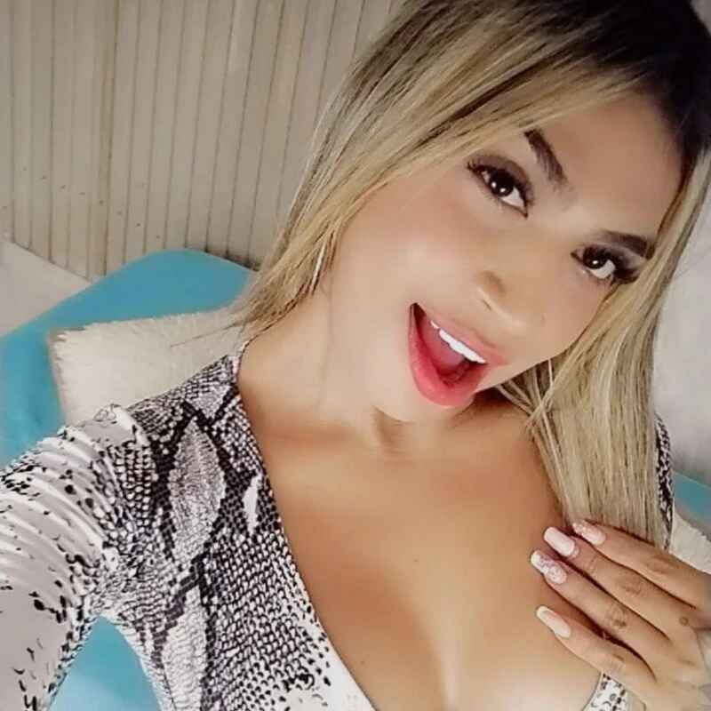 barbie_ds