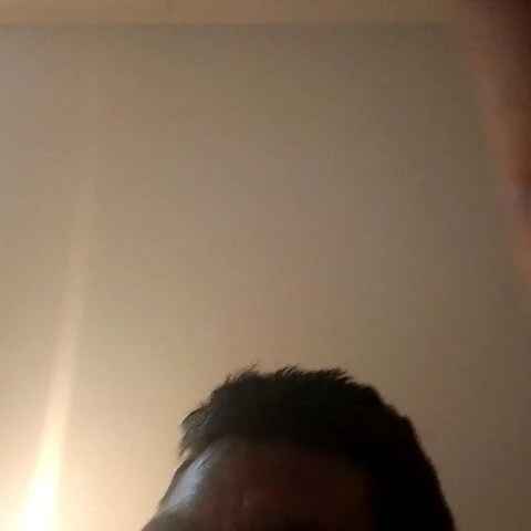 Pollon34-