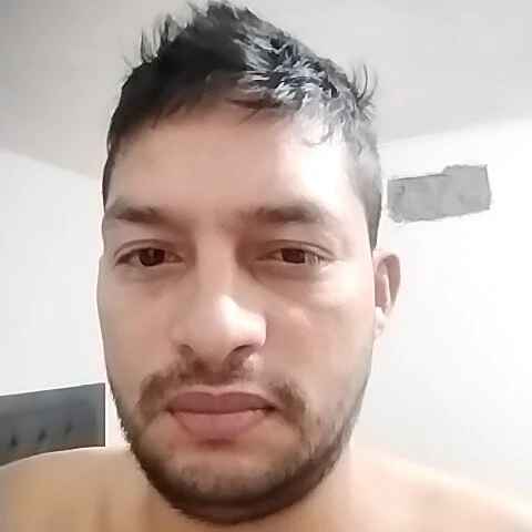 guestar