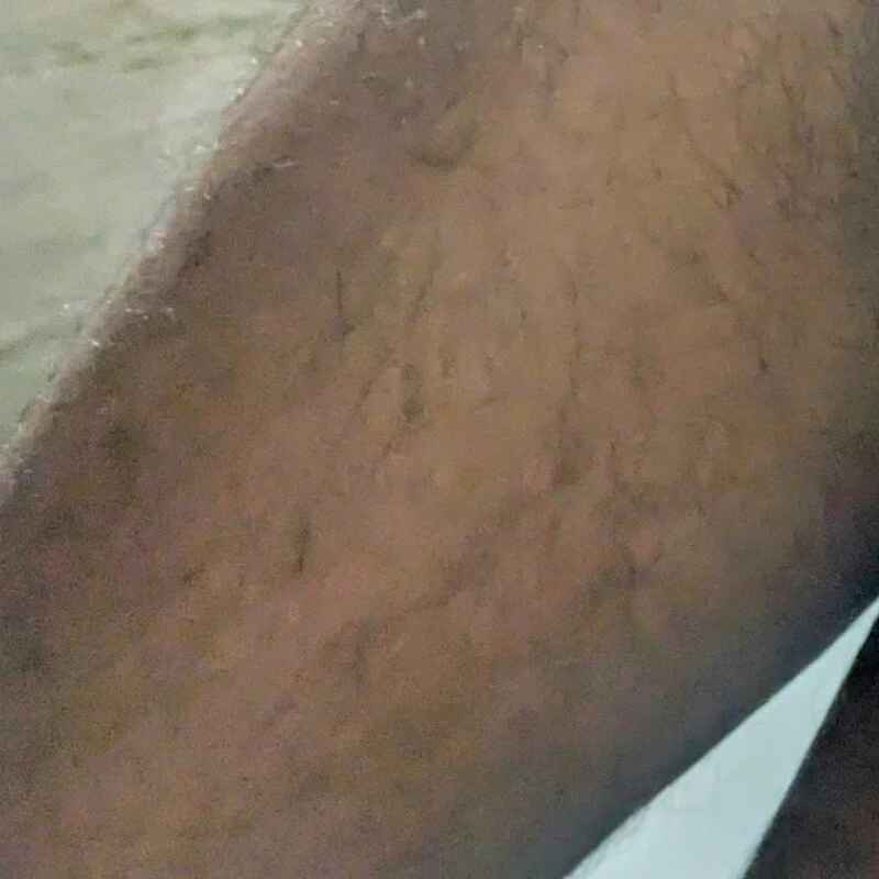 Nishu12356g