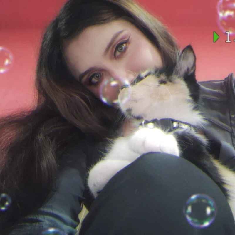 -TheCatCrazy-