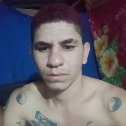 ploma