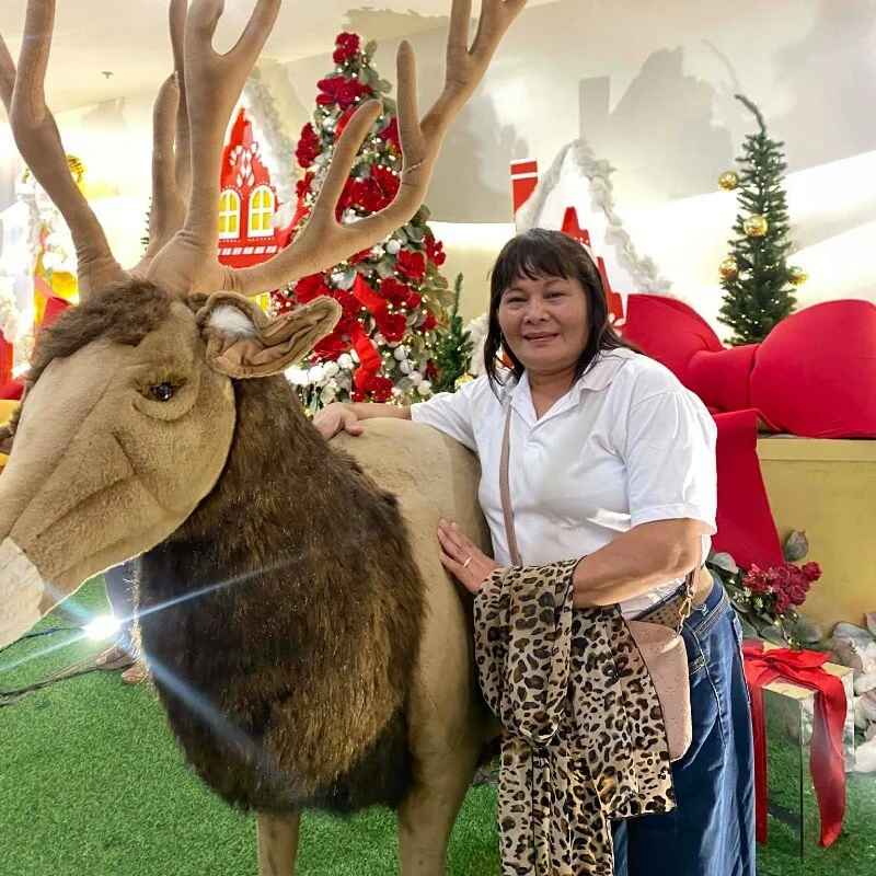 SimpleAsianMoM