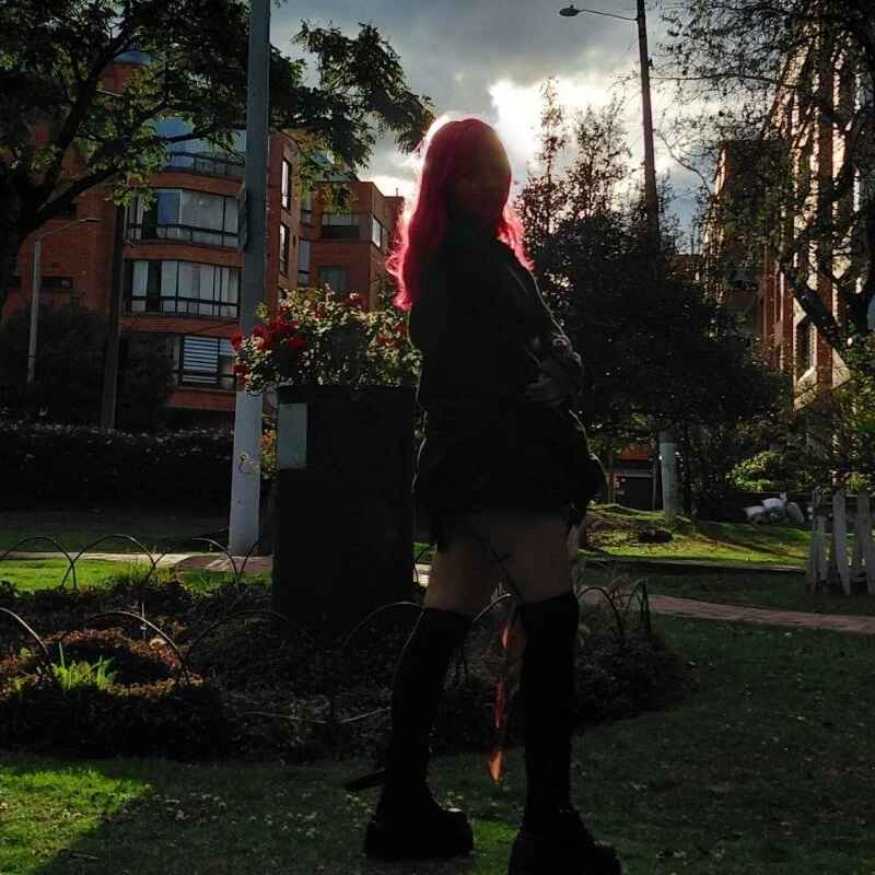 evie_cloud