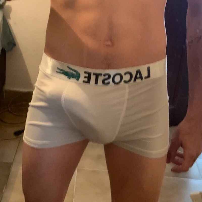 PEDRO_NET