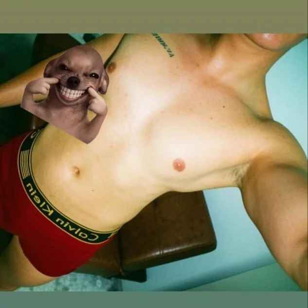 Gardyna1