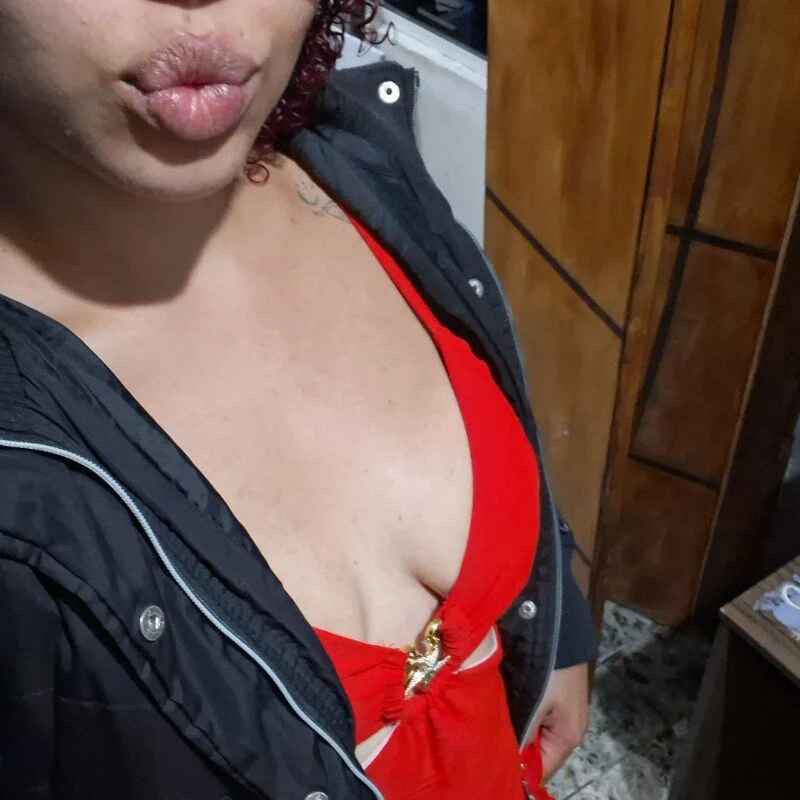 Kitten_thai