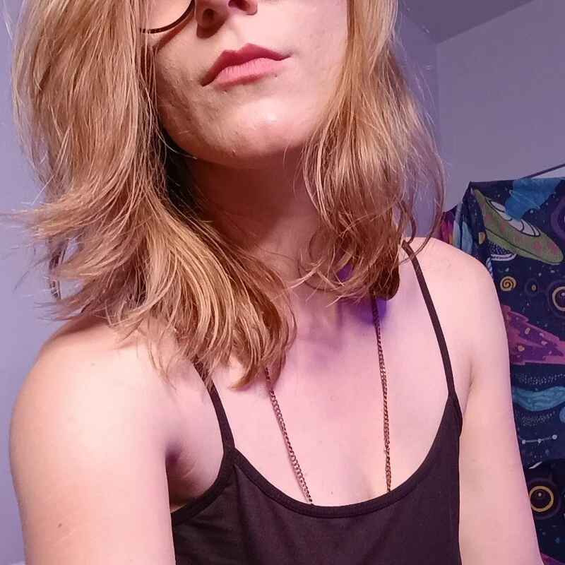 Paynted_Lady