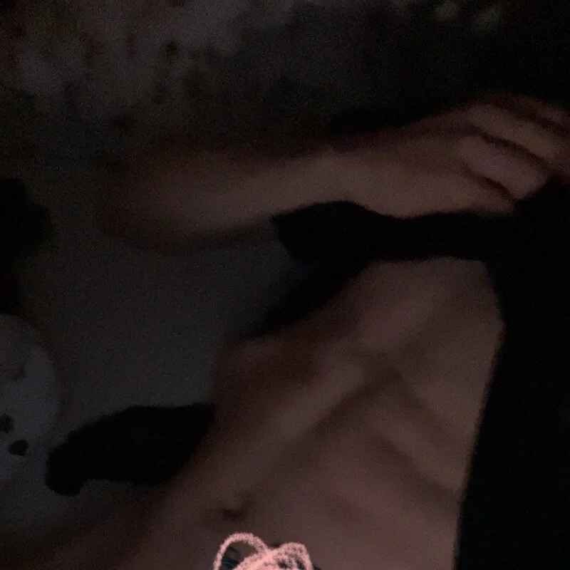 dikkefluit