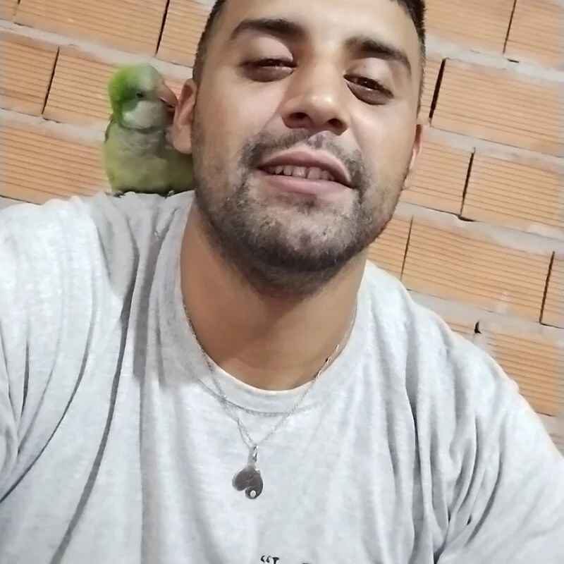 4pulgadas
