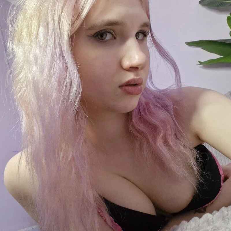 Bellis_Sweet