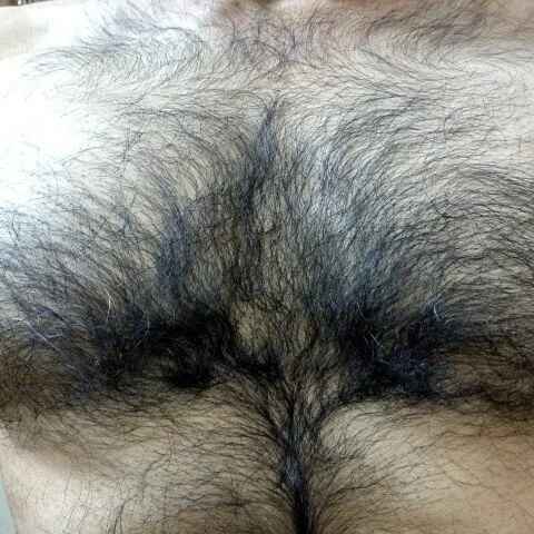 hard___cock