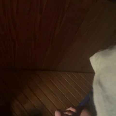Timy123455