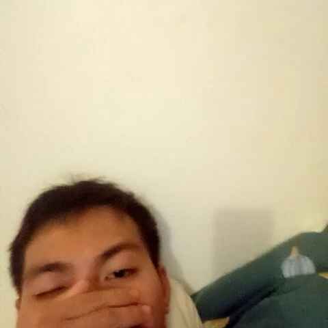 hoahoa2187