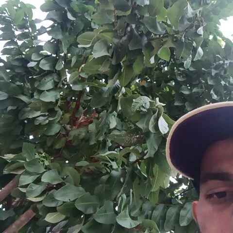 preetha121
