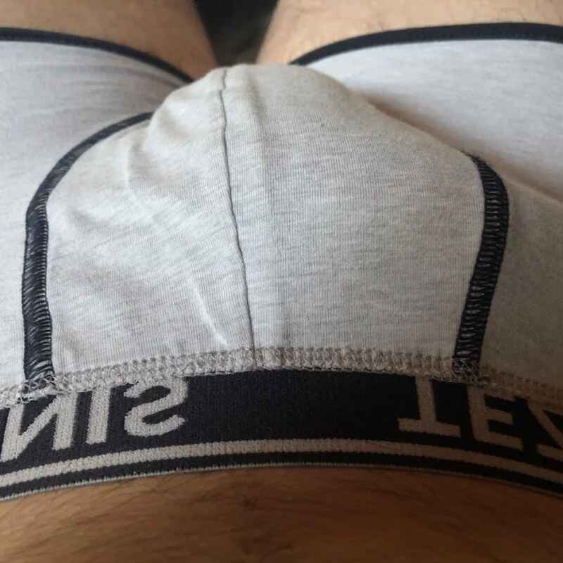 Marcotesudex