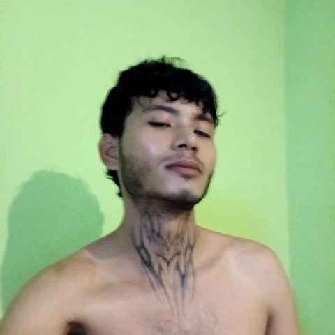 355kl
