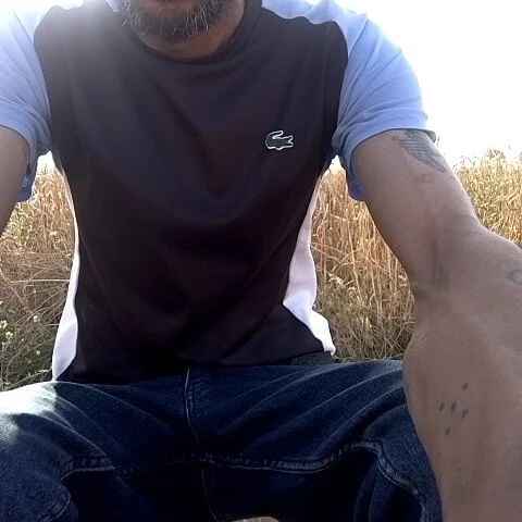walide400