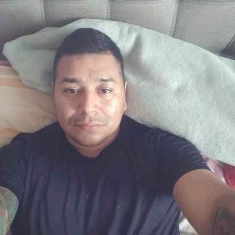 Bosstravieso