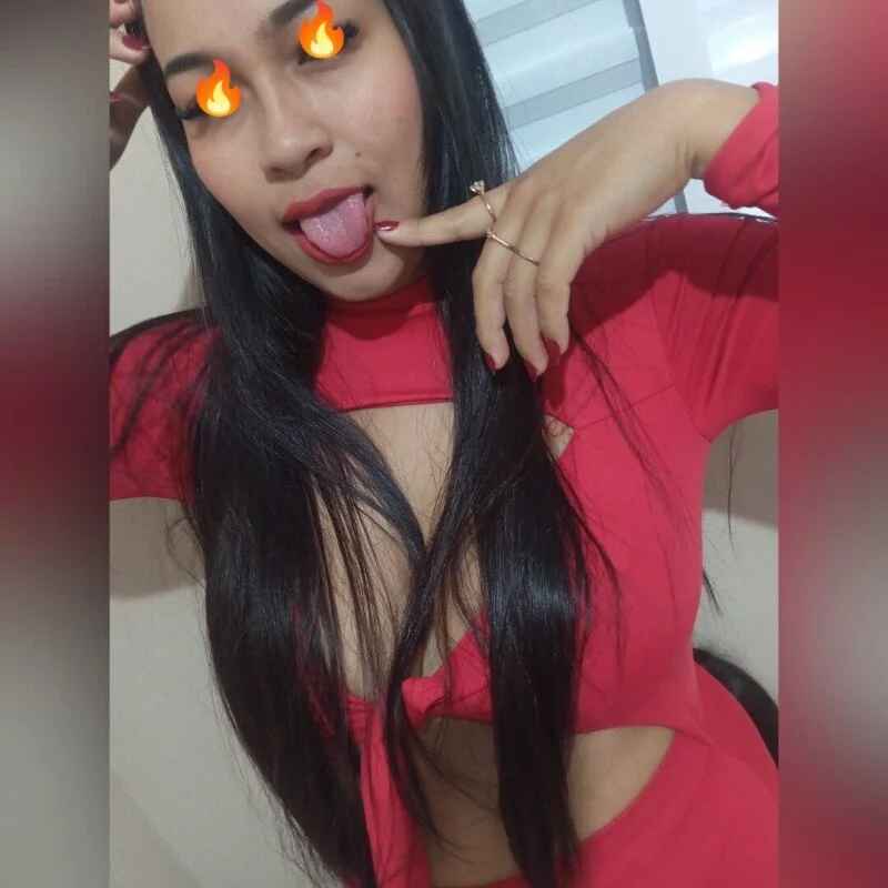 Novinhadobucetao00