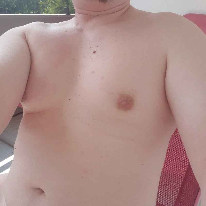 ashexhib