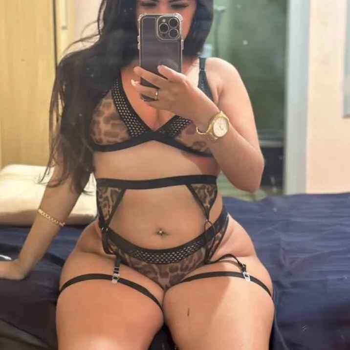 Lari_xl