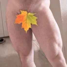gintropino