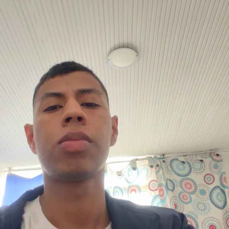 HoliF14543