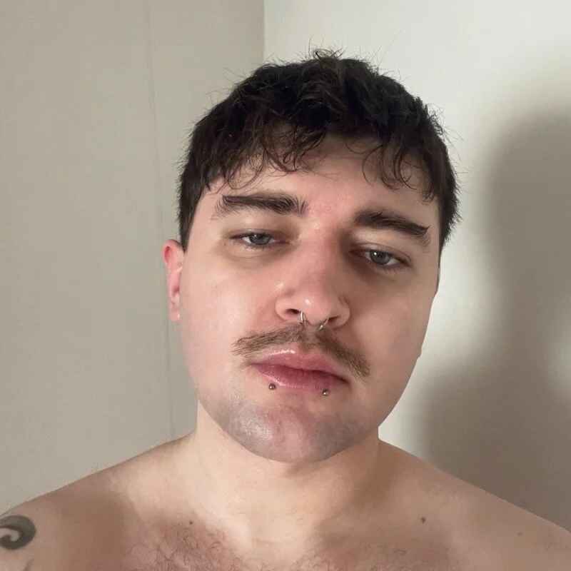 SiberianCub
