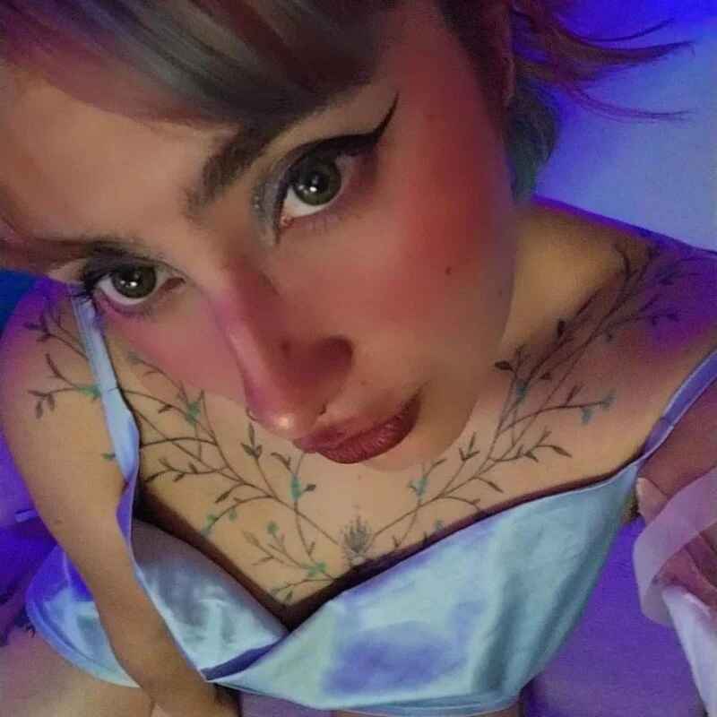 Miacatsito3