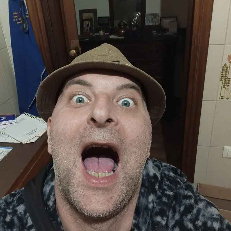 tinybear79