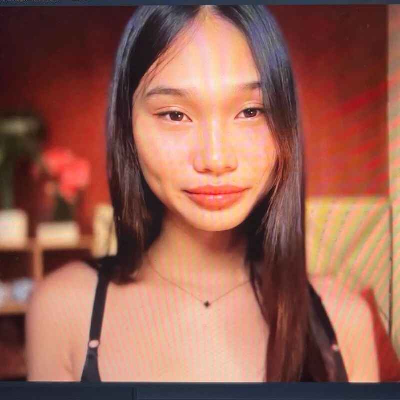 universal_cutie