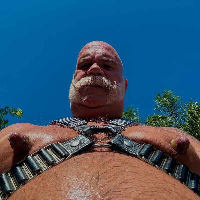 musclebearnips