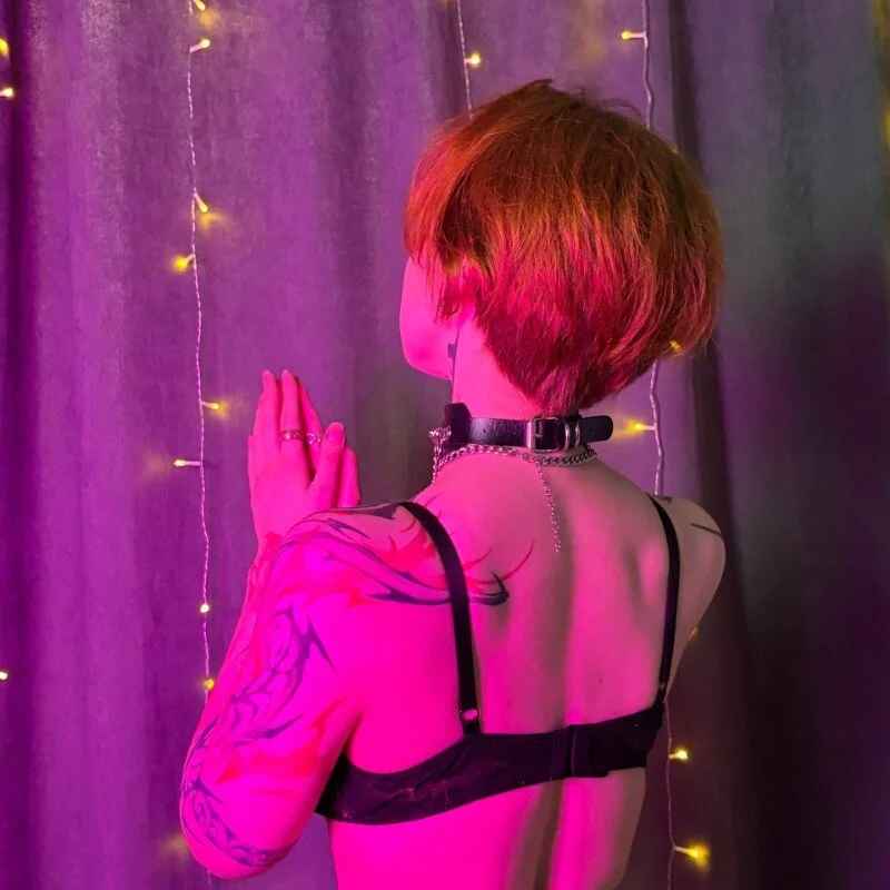 vixen_noir