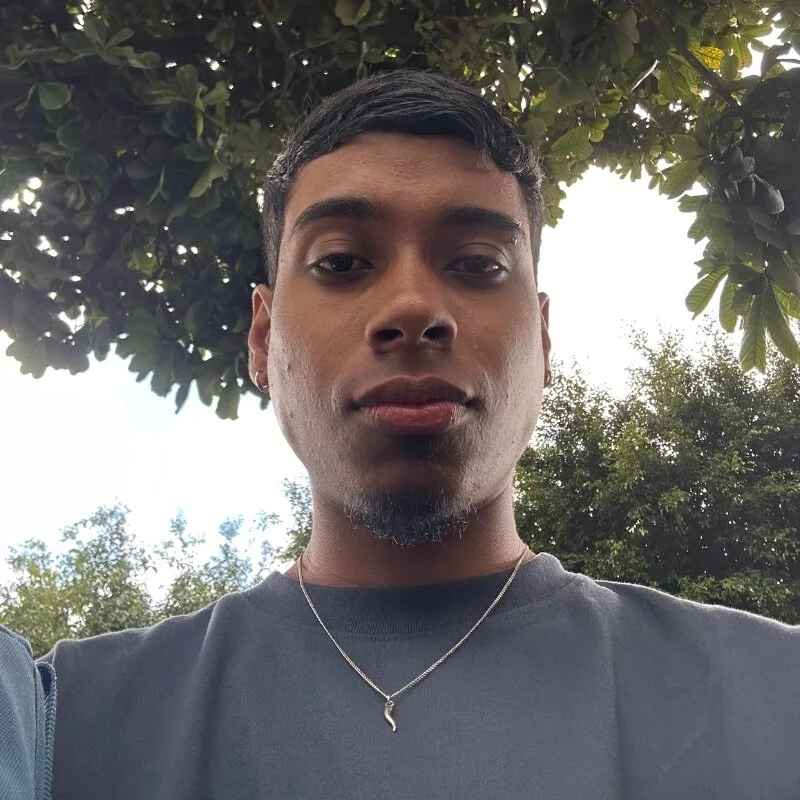 Leo_Harem