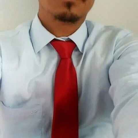 elver_gon3126