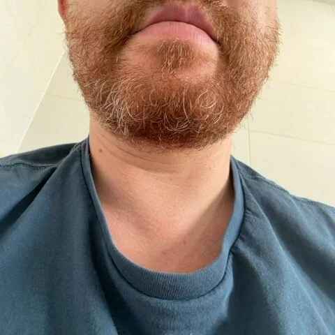 tom_ttbm