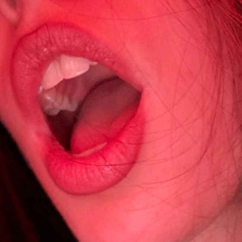 Seexy_arabica