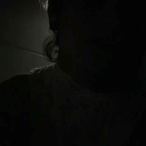 shadowvel