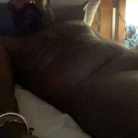Bearwhitedsei