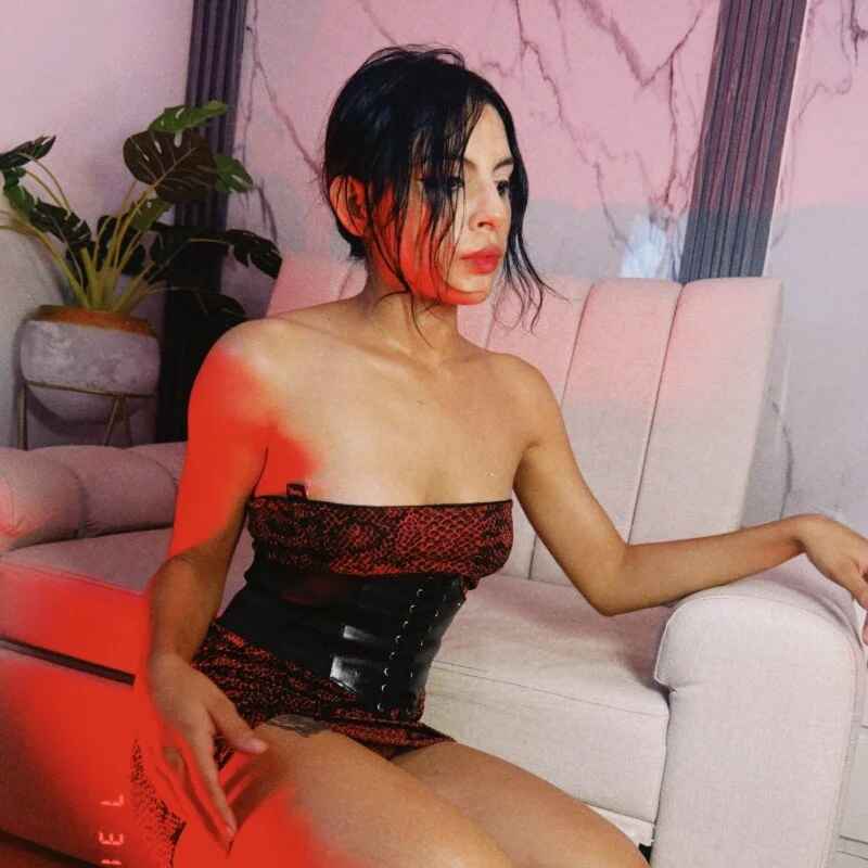 katt_shina