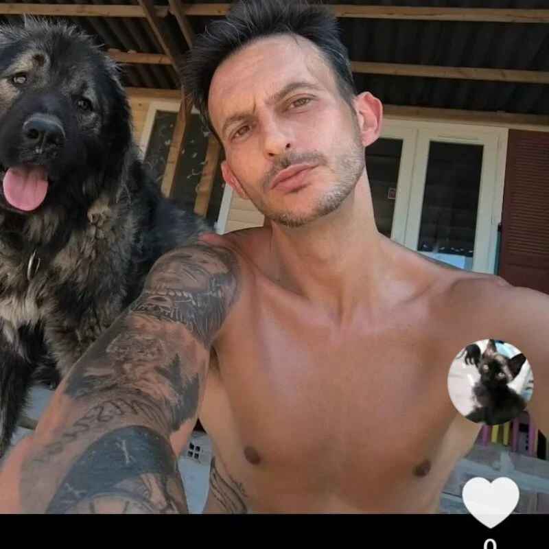 Ivan28v