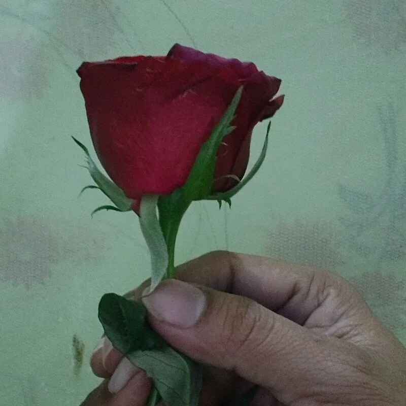 Hot_khatun_69