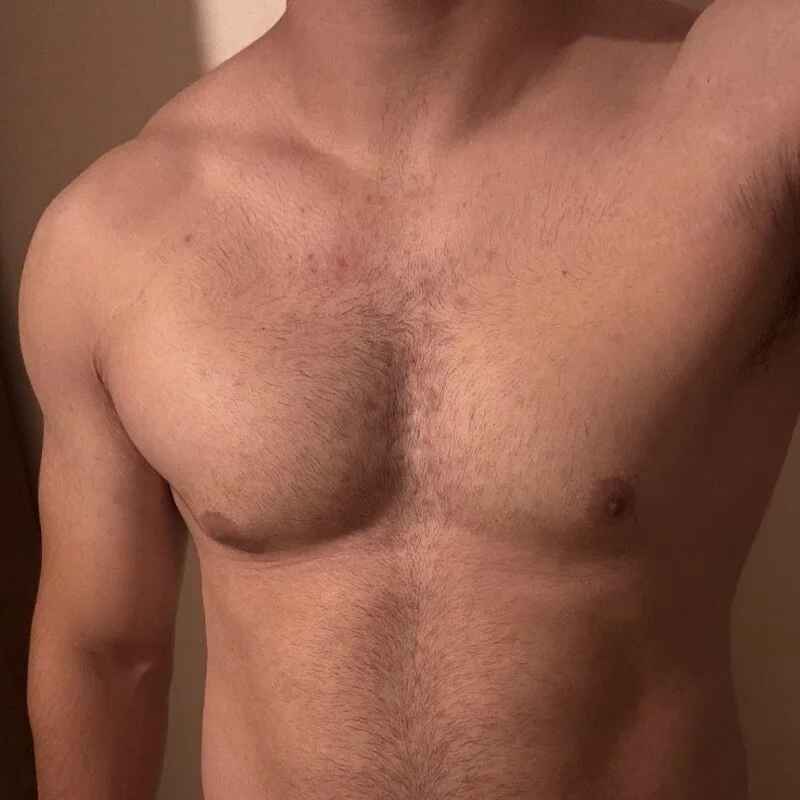 turkish-wolf