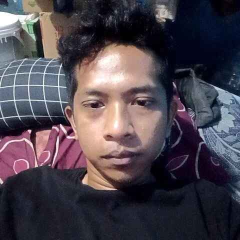 Doles11