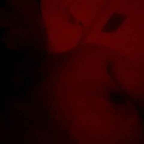 desi_56