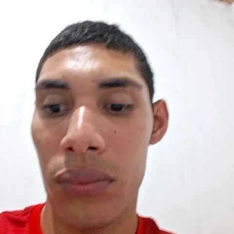 gingavi
